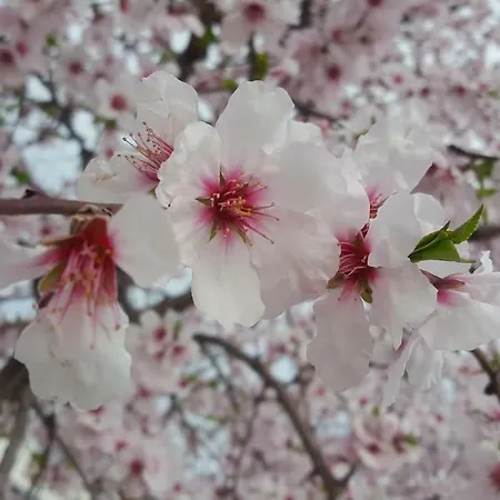 아파트 M2bo Dossetti 27 - Fiera *