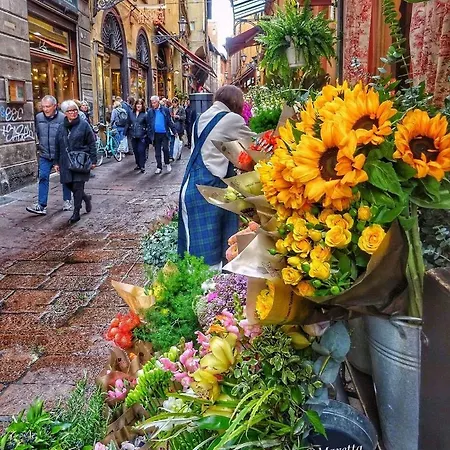 M2bo Dossetti 27 - Fiera