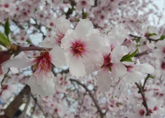 Appartamento M2bo Dossetti 27 - Fiera *